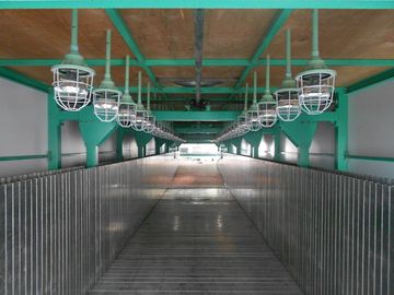 Elastyczne materace piankowe Linia produkcyjna z PLC Kontroli, 50kg / m³